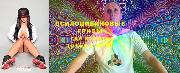 Альфа ПВП Алексеевка
