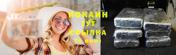 молекула духа Алексин