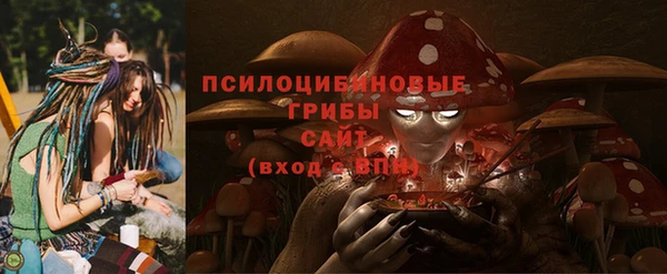 прущие грибы Абдулино