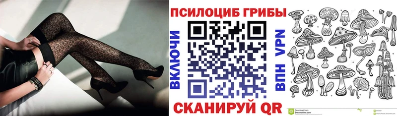 купить наркотики сайты  ссылка на мегу tor  Галлюциногенные грибы Cubensis  Элиста 
